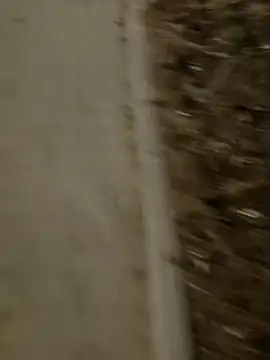 Snapshot of MarekPublicShow chatting on 03-03-26, 09:42 MarekPublicShow online show from 03-03-26, 09:42