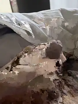 likemonster11 online show from 03-27-26, 12:05