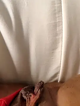 hasapequinha online show from 03-19-26, 06:01