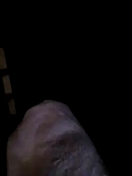 transrandi69 online show from 03-08-26, 12:19