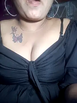 Delhi Patola online show from 04-22-26, 06:31