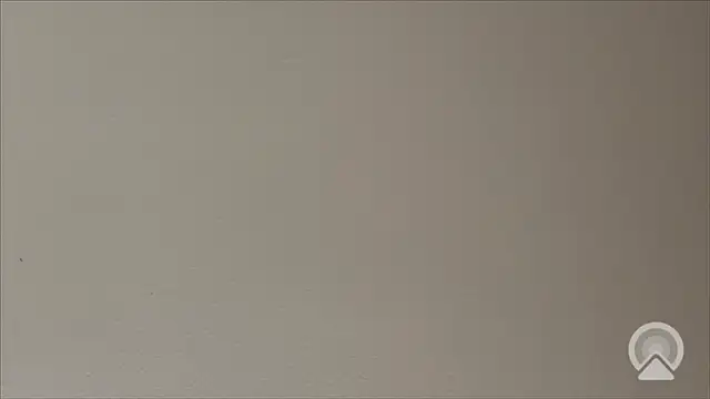 Shynesse21 online show from 03-26-26, 11:38