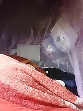 chekoko online show from 04-17-26, 09:51