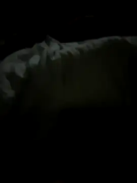 tundrata online show from 03-20-26, 01:43