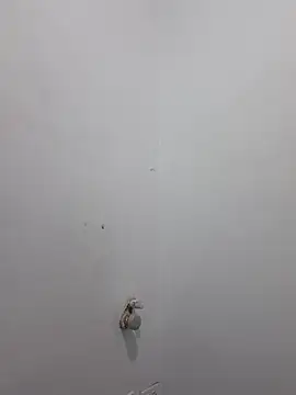 Aila Phone online show from 03-29-26, 02:06