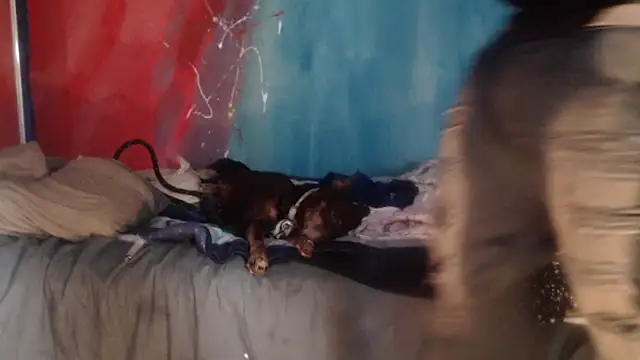 Snapshot of punkyslut69 chatting on 04-14-26, 06:25 punkyslut69 online show from 04-14-26, 06:25