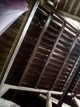 Nthk6 online show from 03-18-26, 06:05