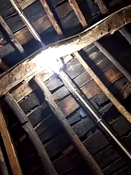 Alge882 online show from 04-05-26, 12:19