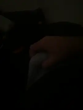 Snapshot of yassineamri chatting on 03-28-26, 01:22 yassineamri online show from 03-28-26, 01:22