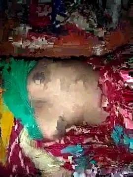 Snapshot of deshi_girl_2007 chatting on 04-16-26, 08:37 deshi girl 2007 online show from 04-16-26, 08:37