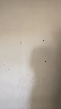 Snapshot of hornysofiya chatting on 04-13-26, 09:37 hornysofiya online show from 04-13-26, 09:37