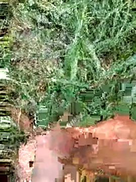 luck00y online show from 06-14-26, 12:29