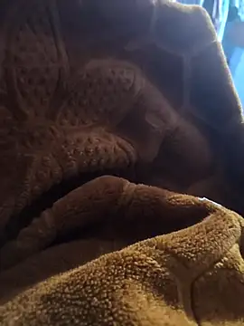 Snapshot of sexy-girl147 chatting on 04-05-26, 09:12 sexy-girl147 online show from 04-05-26, 09:12