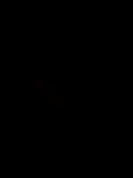 Snapshot of SLBL chatting on 04-24-26, 05:26 SLBL online show from 04-24-26, 05:26