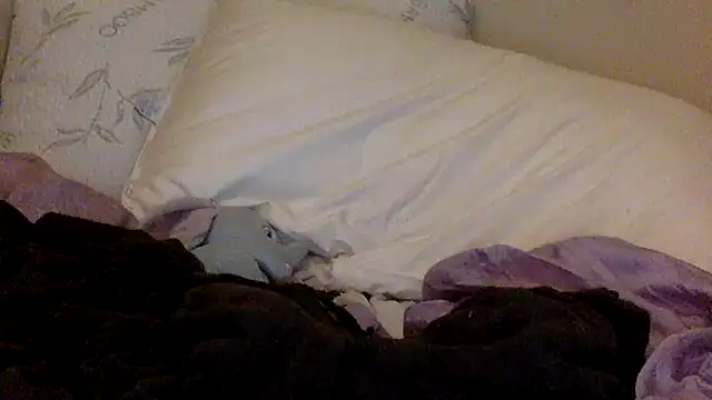 Snapshot of savannabanana chatting on 03-26-26, 03:34 savannabanana online show from 03-26-26, 03:34