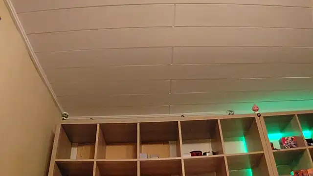 SilvyDiamond online show from 04-07-26, 07:36