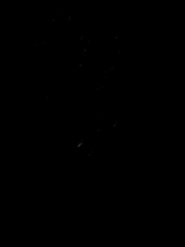 Snapshot of Rocky_pune chatting on 04-08-26, 01:55 Rocky pune online show from 04-08-26, 01:55