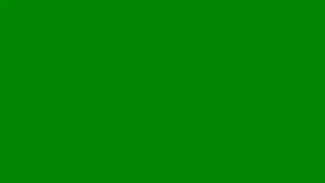 Snapshot of AshleyFerreer chatting on 05-14-26, 09:43 AshleyFerreer online show from 05-14-26, 09:43