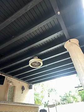 youngwildfreee online show from 04-09-26, 08:25