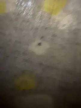 Snapshot of xezie chatting on 04-10-26, 09:58 xezie online show from 04-10-26, 09:58