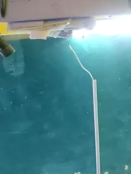 maicol6699 online show from 04-15-26, 04:52