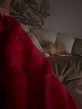 lajokerx online show from 04-15-26, 09:59