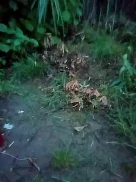 Snapshot of lelenana chatting on 07-07-26, 10:14 lelenana online show from 07-07-26, 10:14