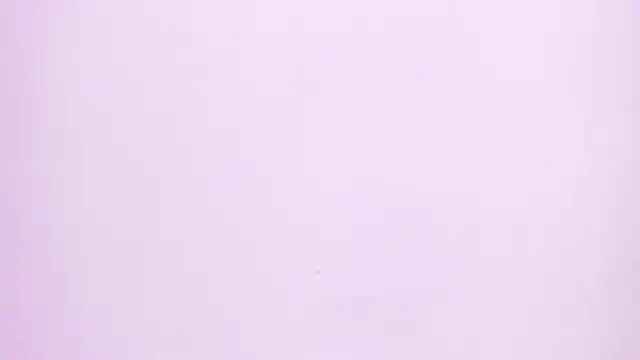 Snapshot of Natasha028_ chatting on 06-02-26, 11:34 Natasha028 online show from 06-02-26, 11:34