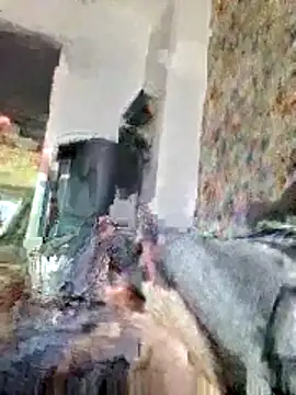 bellequeue147 online show from 04-21-26, 10:54