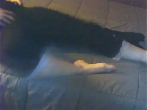 Snapshot of Cuginetti chatting on 04-27-26, 08:07 Cuginetti online show from 04-27-26, 08:07