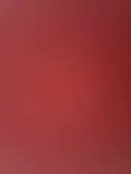ArabMast online show from 05-04-26, 10:17
