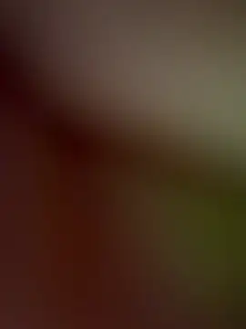 Snapshot of MiaX12 chatting on 05-16-26, 07:12 MiaX12 online show from 05-16-26, 07:12