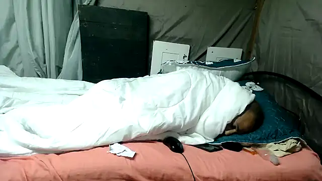 Snapshot of Camodick chatting on 06-12-26, 01:26 Camodick online show from 06-12-26, 01:26