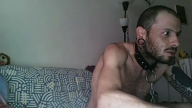 Snapshot of imponenteZeus chatting on 05-14-26, 01:18 imponenteZeus online show from 05-14-26, 01:18
