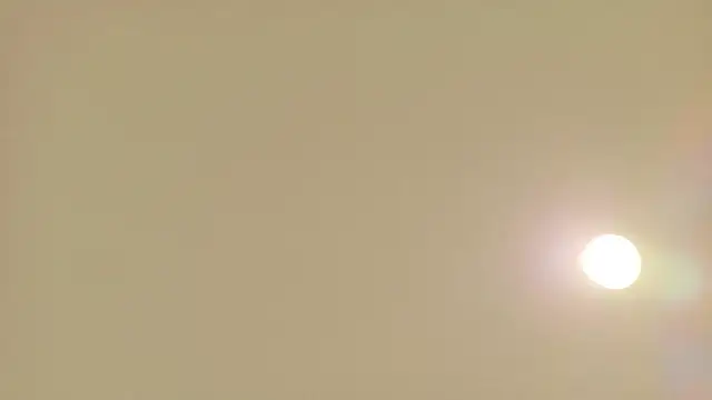 rena 1120 online show from 06-17-26, 12:29