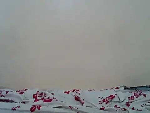 Snapshot of Hornysmoker20 chatting on 07-07-26, 06:47 Hornysmoker20 online show from 07-07-26, 06:47