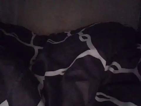 fatpusy002 online show from 06-26-26, 03:44