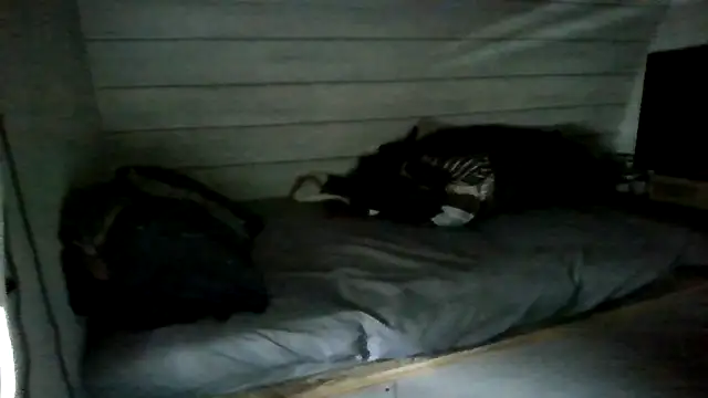 Snapshot of ThisGuy42o chatting on 07-05-26, 04:25 ThisGuy42o online show from 07-05-26, 04:25