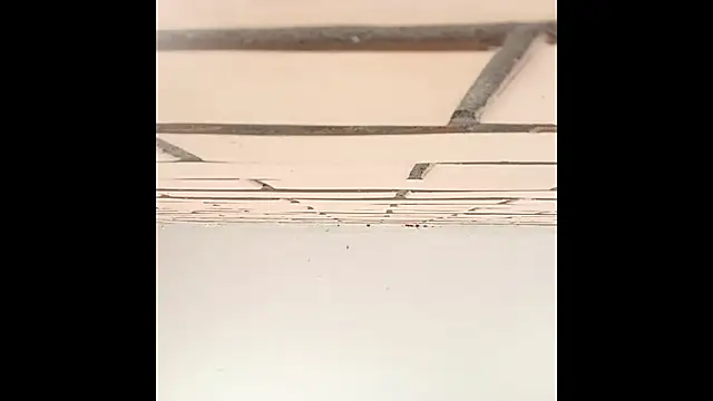 Snapshot of IronicBuckle chatting on 07-02-26, 03:23 IronicBuckle online show from 07-02-26, 03:23