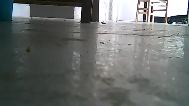 Snapshot of SirFrankonde chatting on 08-01-26, 12:48 SirFrankonde online show from 08-01-26, 12:48