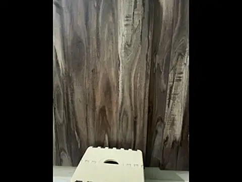 Snapshot of SatBull007 chatting on 11-23-25, 07:52 SatBull007 online show from 11-23-25, 07:52