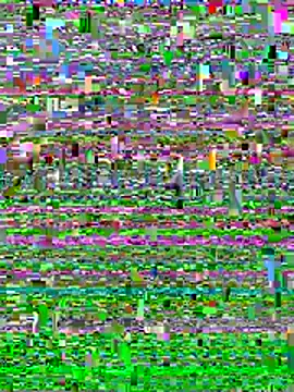 Curvdickm online show from 07-02-26, 12:32