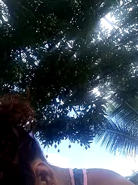 Snapshot of PetterRoxxy chatting on 07-07-26, 02:54 PetterRoxxy online show from 07-07-26, 02:54