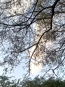 Snapshot of Teluguammai_123 chatting on 07-12-26, 01:02 Teluguammai 123 online show from 07-12-26, 01:02