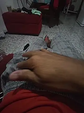 foguinho25cm online show from 08-05-26, 08:17