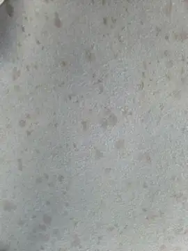 415cali925 online show from 03-17-26, 06:55