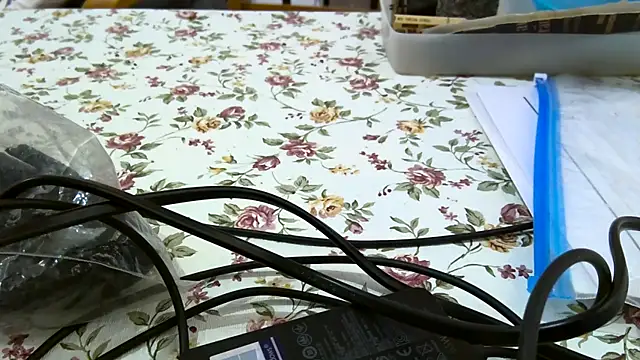 Snapshot of Bigjacky chatting on 09-09-25, 04:39 Bigjacky online show from 09-09-25, 04:39