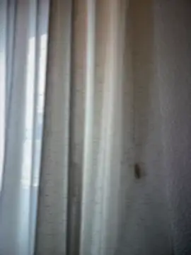 Chic desire online show from 03-20-26, 10:09