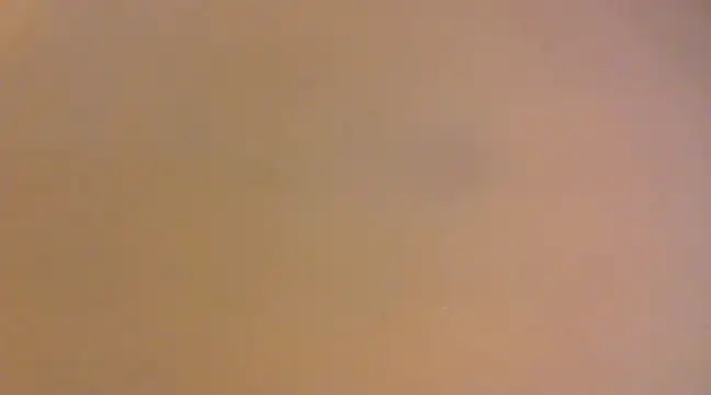 Snapshot of lilpervt chatting on 12-21-24, 11:55 lilpervt online show from 12-21-24, 11:55