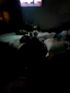 juliopantoja online show from 02-15-26, 05:04